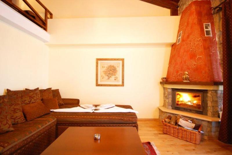 Vasilitsa Spa Resort Grevena Quarto foto