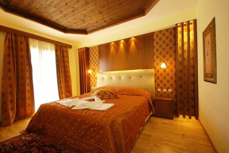 Vasilitsa Spa Resort Grevena Quarto foto